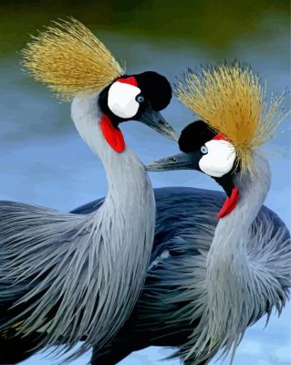 Royal Crane African Birds Paint By Number