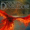 Secrets Of Dumbledore Paint By Number