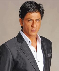 Shahrukh Khan Actor Paint By Number