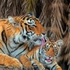 Tiger And Baby Paint By Number