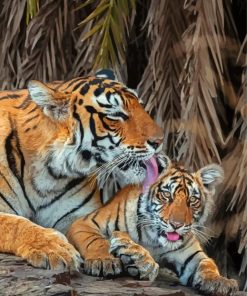 Tiger And Baby Paint By Number