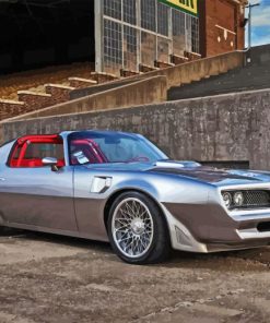 1978 Trans Am Car Paint By Number