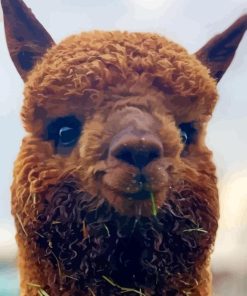 Alpaca Smiling Paint By Numbers