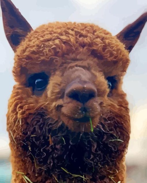 Alpaca Smiling Paint By Numbers