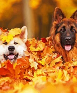 Autumn Puppies Paint By Numbers