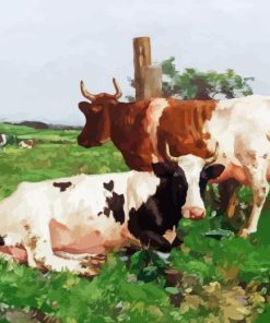 Ayrshire Cows In Farm Paint By Number