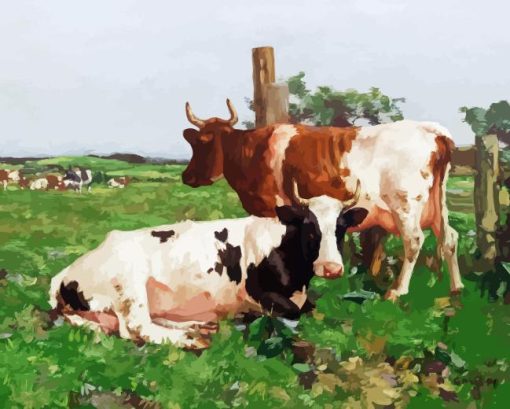 Ayrshire Cows In Farm Paint By Number