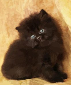 Black Persian Cat Paint By Number