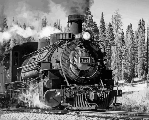 Black And White Train Paint By Number