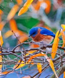 Blue Bird In Autumn Paint By Number