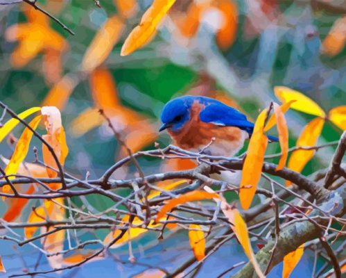 Blue Bird In Autumn Paint By Number