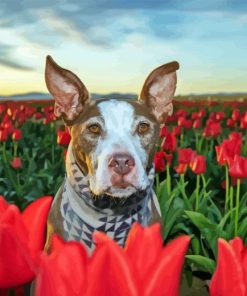 Brown Dog In Tulips Field Paint By Number