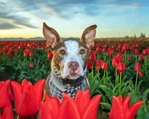 Brown Dog In Tulips Field Paint By Number