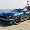 Bullitt Mustang Car Paint By Number