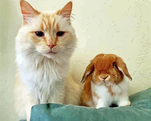 Bunny With Cat Painting By Number