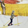 Carl Larsson The Skier Paint By Numbers