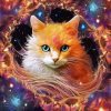 Cat Galaxy Paint By Numbers