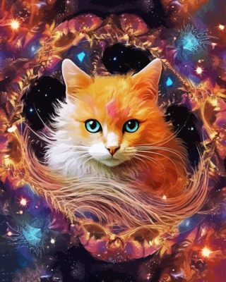 Cat Galaxy Paint By Numbers