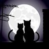 Cats In Love Silhouette Paint By Number