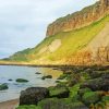 Cayton Bay Beach Paint By Number