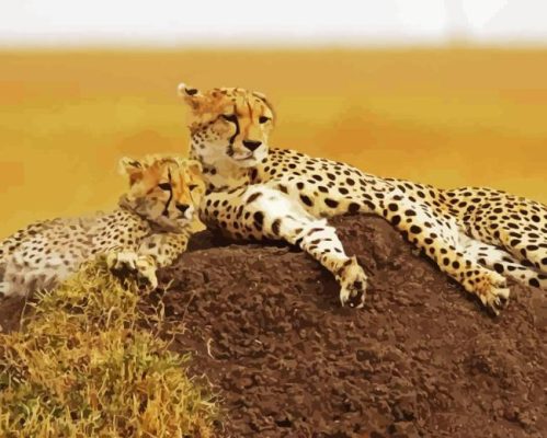 Cheetah And Cubs In Safari Paint By Number