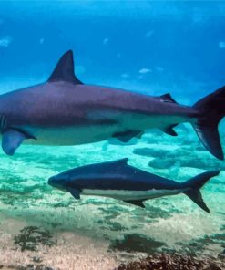 Cobia Fish Underwater Paint By Number