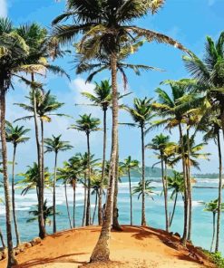 Coconut Tree On Beach Paint By Numbers