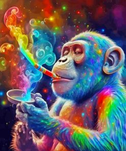 Colorful Monkey Animal Paint By Number