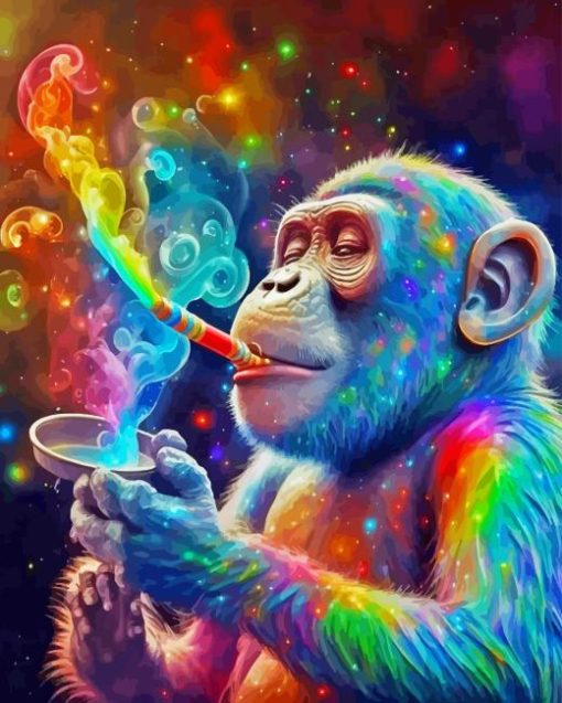 Colorful Monkey Animal Paint By Number