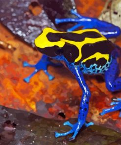 Poison Dart Frogs Paint By Numbers