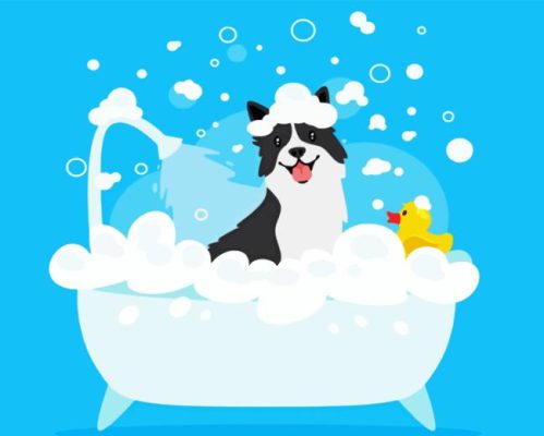 Black Dog In A Tub Paint By Numbers