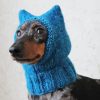 Dog With Blue Hat Paint By Numbers