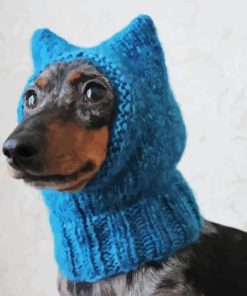 Dog With Blue Hat Paint By Numbers