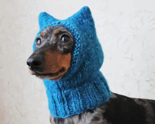 Dog With Blue Hat Paint By Numbers