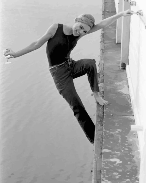 Black And White Edie Sedgwick Paint By Numbers