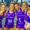 Queensland Firebirds Netball Paint By Numbers