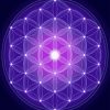 Purple Flower Of Life Paint By Numbers