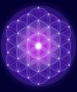 Purple Flower Of Life Paint By Numbers