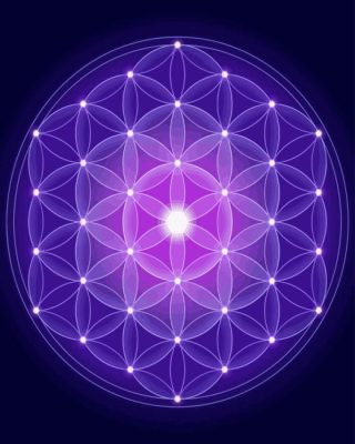 Purple Flower Of Life Paint By Numbers