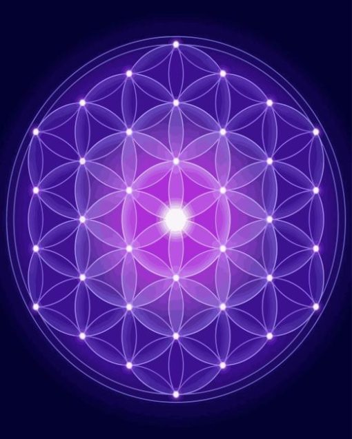 Purple Flower Of Life Paint By Numbers