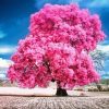 Forest Pink Tree Paint By Number