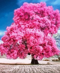 Forest Pink Tree Paint By Number