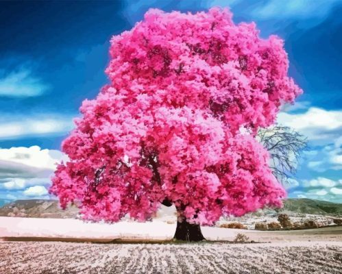 Forest Pink Tree Paint By Number