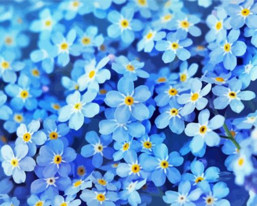 Blue Forget Me Nots Flowers Paint By Numbers