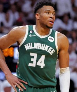 Giannis Antetokounmpo Player Paint By Numbers