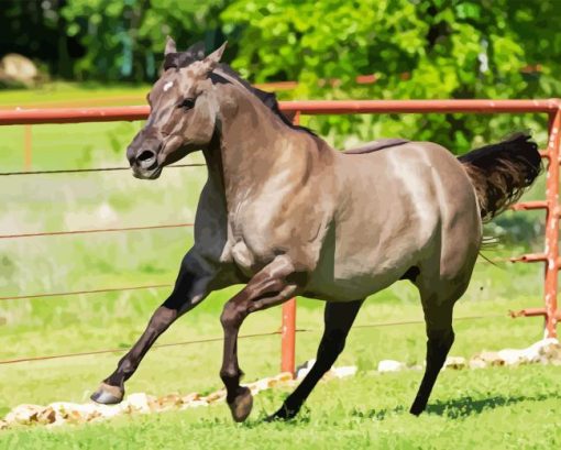 Grullo Horse Paint By Numbers