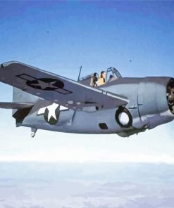 Grumman Wildcat Aircraft Paint By Number