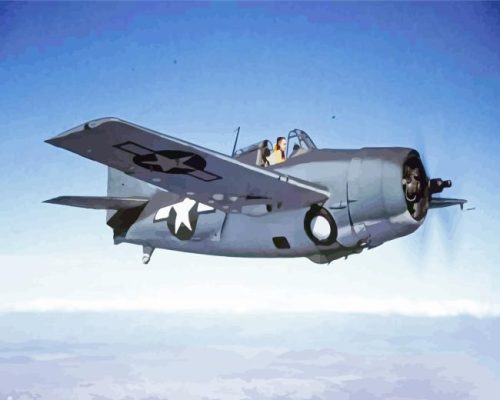 Grumman Wildcat Aircraft Paint By Number