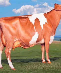 Guernsey Cow Painting By Number