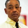 The Breaking Bad Gus Fring Paint By Number